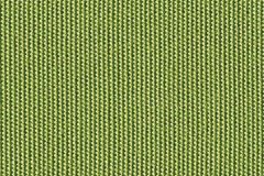 54011 Ginkgo (A) Sunbrella